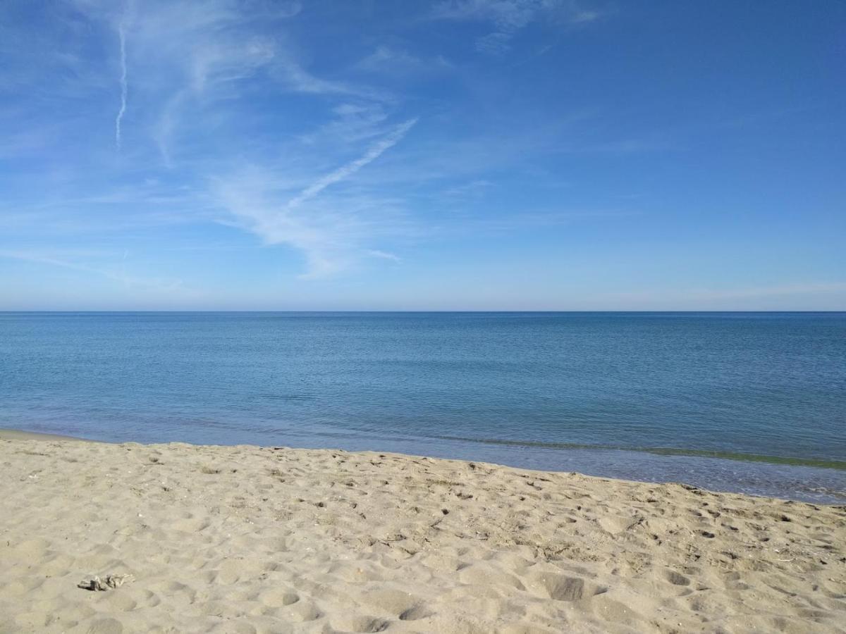 Piso Centrico Y A Pie De Playa. Apartman Martil Kültér fotó